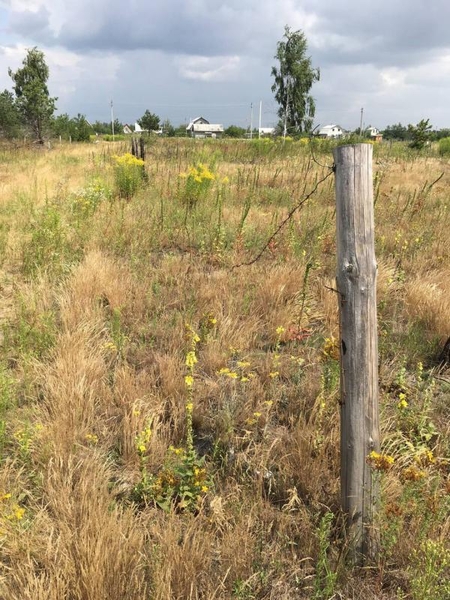 Продаємо земельні ділянки від господарів! - <ro>Изображение</ro><ru>Изображение</ru> #6, <ru>Объявление</ru> #1738300