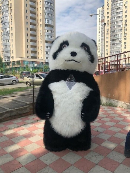 Медведь костюм для рекламы и развлечений - <ro>Изображение</ro><ru>Изображение</ru> #3, <ru>Объявление</ru> #1738246