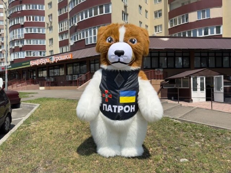 Медведь костюм для рекламы и развлечений - <ro>Изображение</ro><ru>Изображение</ru> #5, <ru>Объявление</ru> #1738246