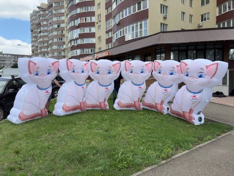 Надувная реклама Продвижение бизнеса - <ro>Изображение</ro><ru>Изображение</ru> #6, <ru>Объявление</ru> #1738247