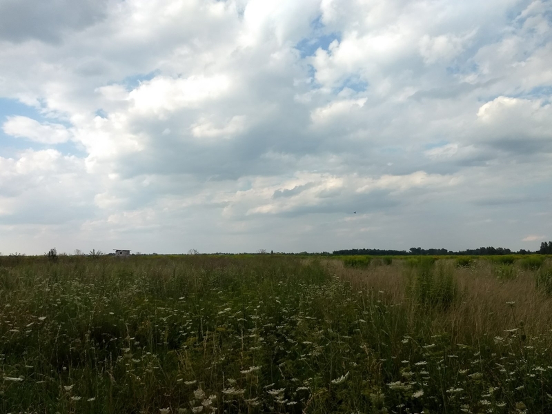 Участок под застройку 17.5 соток в с. Семиполки, Киевской области - <ro>Изображение</ro><ru>Изображение</ru> #4, <ru>Объявление</ru> #1739050