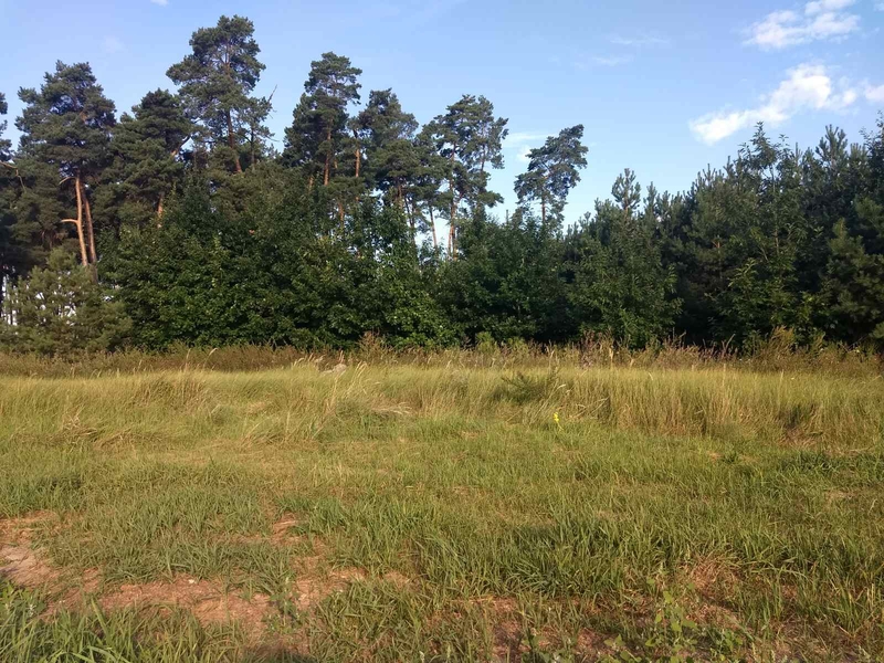 Участок под застройку 50 соток в с. Дерновка, Киевской области - <ro>Изображение</ro><ru>Изображение</ru> #4, <ru>Объявление</ru> #1739051