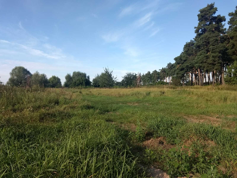 Участок под застройку 50 соток в с. Дерновка, Киевской области - <ro>Изображение</ro><ru>Изображение</ru> #10, <ru>Объявление</ru> #1739051