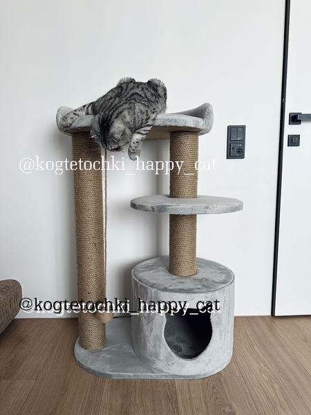 Нерухомість для ваших котиків - <ro>Изображение</ro><ru>Изображение</ru> #2, <ru>Объявление</ru> #1739809