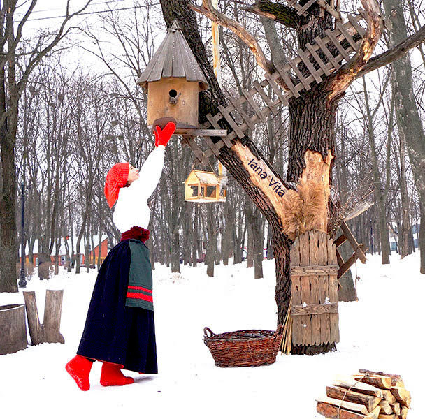 купити валянки жіночі в україні, купити валянки з калошами - <ro>Изображение</ro><ru>Изображение</ru> #3, <ru>Объявление</ru> #1741171