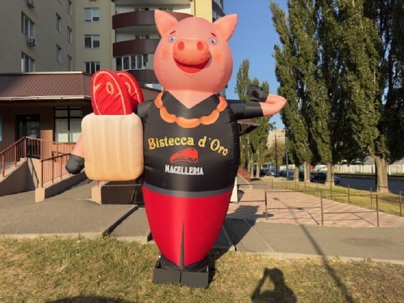 Надувной человечек реклама для представления торговой марки, бренда - <ro>Изображение</ro><ru>Изображение</ru> #1, <ru>Объявление</ru> #1741494