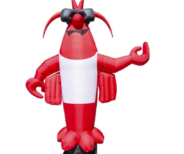 Надувной человечек реклама для представления торговой марки, бренда - <ro>Изображение</ro><ru>Изображение</ru> #6, <ru>Объявление</ru> #1741494