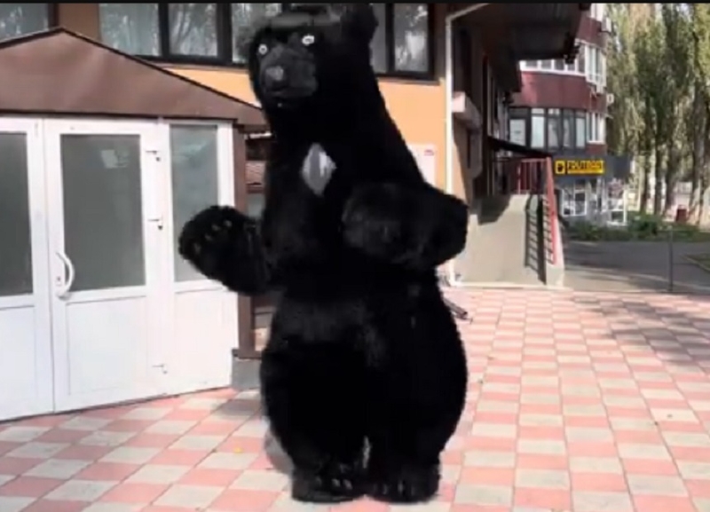 Пневмокостюм медведя - <ro>Изображение</ro><ru>Изображение</ru> #5, <ru>Объявление</ru> #1741495