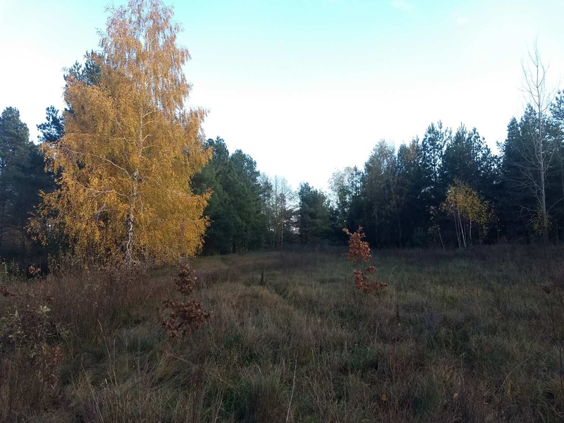 Земельна ділянка під будівництво площею 0,1200  в с. Дружня - <ro>Изображение</ro><ru>Изображение</ru> #3, <ru>Объявление</ru> #1742384