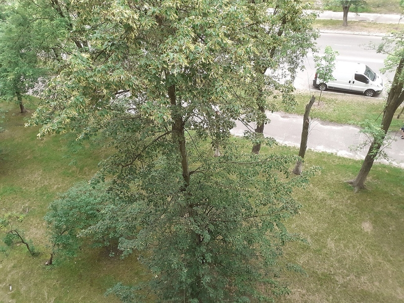 1-комнатная квартира на Лесном массиве, ул.Кубанской Украины 37, посуточно - <ro>Изображение</ro><ru>Изображение</ru> #7, <ru>Объявление</ru> #1742783