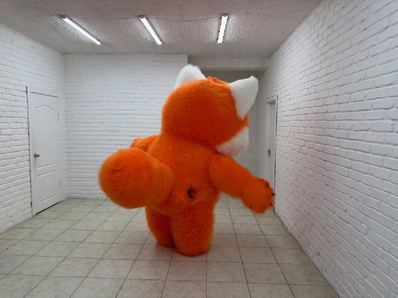 Костюм надувний Червона панда - <ro>Изображение</ro><ru>Изображение</ru> #8, <ru>Объявление</ru> #1743420