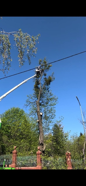 Вышка. Автовышка. Аренда. Услуги и аренда автовышки - <ro>Изображение</ro><ru>Изображение</ru> #2, <ru>Объявление</ru> #1743912