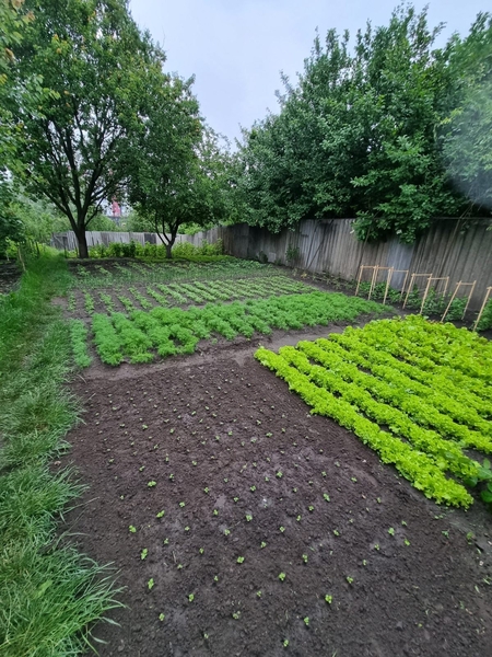 Продаю дом с хоз.пристройками и землю в Гатном, рядом метро. - <ro>Изображение</ro><ru>Изображение</ru> #5, <ru>Объявление</ru> #1744830