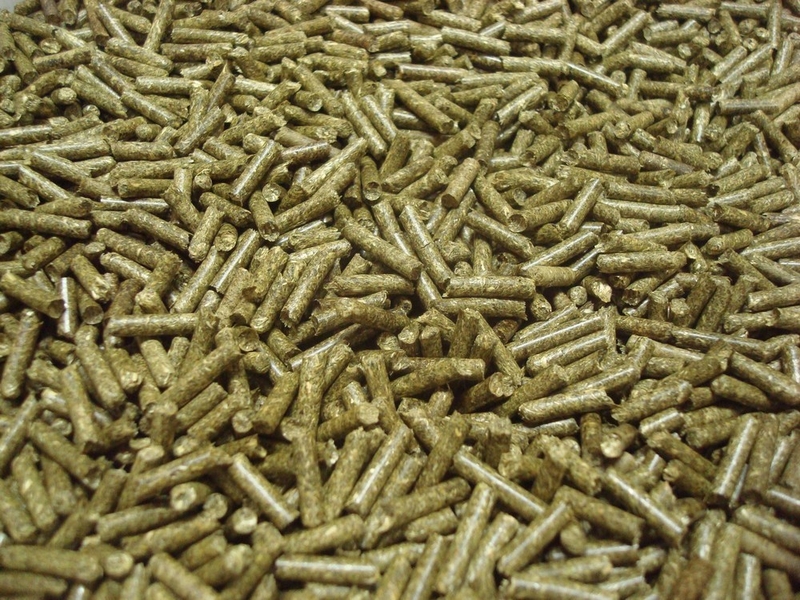 Линия гранулирования биомассы  MGL 100 - <ro>Изображение</ro><ru>Изображение</ru> #6, <ru>Объявление</ru> #1744824