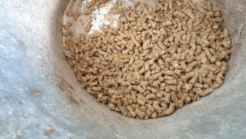 Измельчители  овечьей шерсти  TLP / SG   - <ro>Изображение</ro><ru>Изображение</ru> #3, <ru>Объявление</ru> #1744828