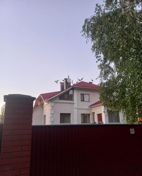 Затишок та економія: утепліть фасад свого будинку з "ЄвроФасад" - <ro>Изображение</ro><ru>Изображение</ru> #4, <ru>Объявление</ru> #1745217