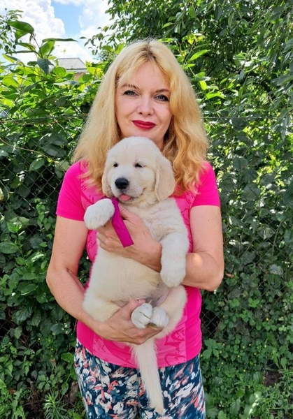 Дуже чудові цуценята золотистого ретрівера Ot Bahur - <ro>Изображение</ro><ru>Изображение</ru> #3, <ru>Объявление</ru> #1745581