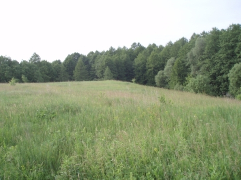 Юрівка, 10км від метро, будинок двоповерховий на два входи, 35 соток - <ro>Изображение</ro><ru>Изображение</ru> #9, <ru>Объявление</ru> #1745607