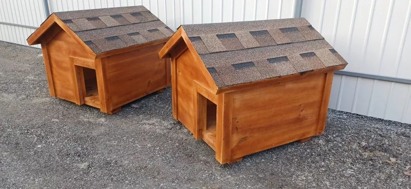 Будка для собак. Деревянная будка для собак. Собачья будка - <ro>Изображение</ro><ru>Изображение</ru> #1, <ru>Объявление</ru> #1592137