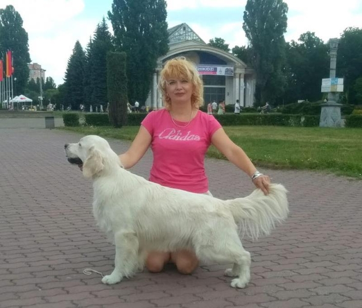 Цуценята золотистого ретрівера Ot Bahur - <ro>Изображение</ro><ru>Изображение</ru> #6, <ru>Объявление</ru> #1747956