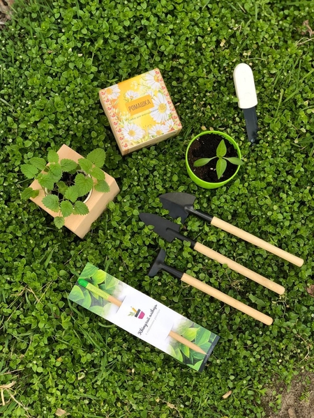 Квітучі олівці з логотипом. Друк на олівцях - <ro>Изображение</ro><ru>Изображение</ru> #1, <ru>Объявление</ru> #1748834