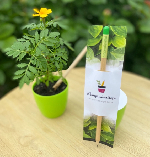 Квітучі олівці з логотипом. Друк на олівцях - <ro>Изображение</ro><ru>Изображение</ru> #4, <ru>Объявление</ru> #1748834