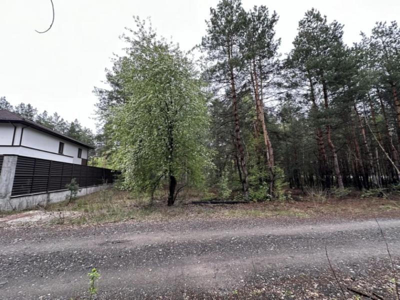 Продаж ділянки 10 сот. Київ у лісі. - <ro>Изображение</ro><ru>Изображение</ru> #2, <ru>Объявление</ru> #1749010