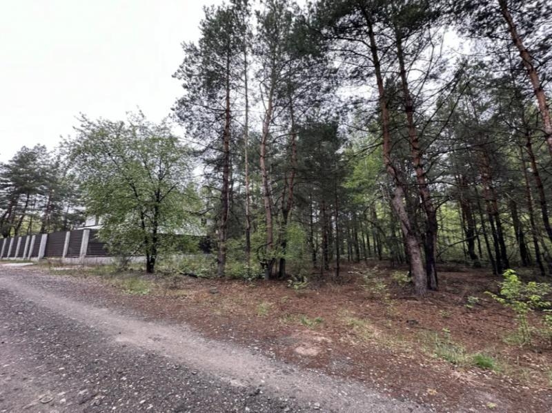 Продаж ділянки 10 сот. Київ у лісі. - <ro>Изображение</ro><ru>Изображение</ru> #4, <ru>Объявление</ru> #1749010