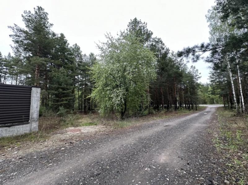 Продаж ділянки 10 сот. Київ у лісі. - <ro>Изображение</ro><ru>Изображение</ru> #5, <ru>Объявление</ru> #1749010