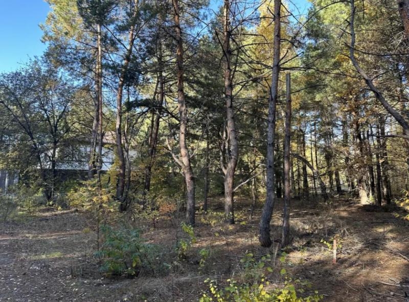 Продаж ділянки 10 сот. Київ у лісі. - <ro>Изображение</ro><ru>Изображение</ru> #7, <ru>Объявление</ru> #1749010