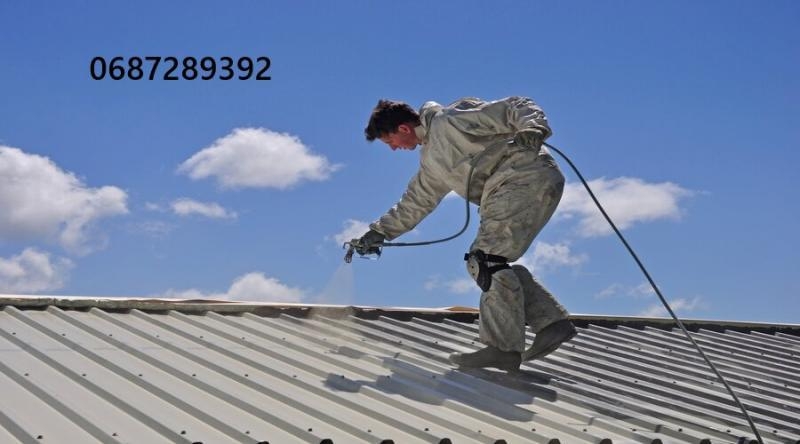 Фарбування дахів: якість, що захищає на роки! - <ro>Изображение</ro><ru>Изображение</ru> #1, <ru>Объявление</ru> #1750550