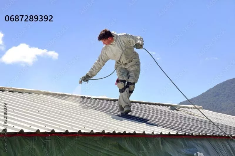 Фарбування дахів: якість, що захищає на роки! - <ro>Изображение</ro><ru>Изображение</ru> #5, <ru>Объявление</ru> #1750550