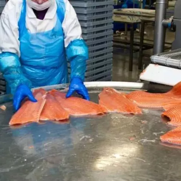 Шоковая заморозка,низькотемпературні камери для переробки риби - <ro>Изображение</ro><ru>Изображение</ru> #1, <ru>Объявление</ru> #1751521