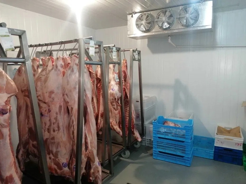 Морозильна камера - Щокова заморозка ковбас, м'яса, сирів ( Під ключ) - <ro>Изображение</ro><ru>Изображение</ru> #2, <ru>Объявление</ru> #1752765