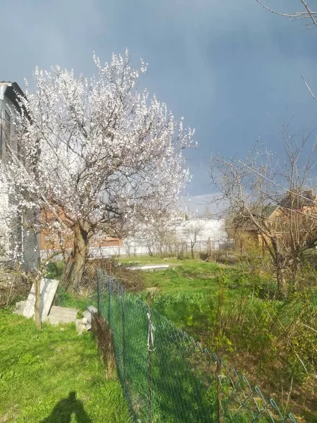 Продаётся будинок Київська обл. Обухівський район  - <ro>Изображение</ro><ru>Изображение</ru> #3, <ru>Объявление</ru> #1753490