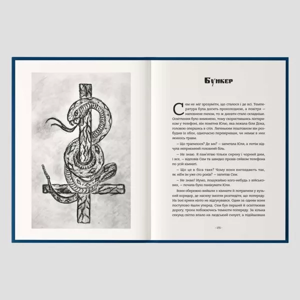 Книга «Падіння небес» — захопливий містичний трилер про вибір, страх і правду - <ro>Изображение</ro><ru>Изображение</ru> #4, <ru>Объявление</ru> #1753281